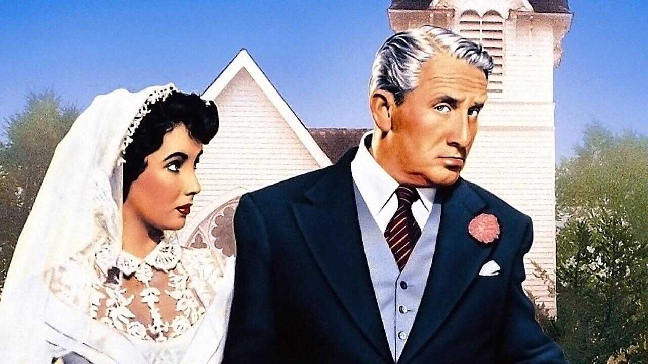 Father of the Bride 0