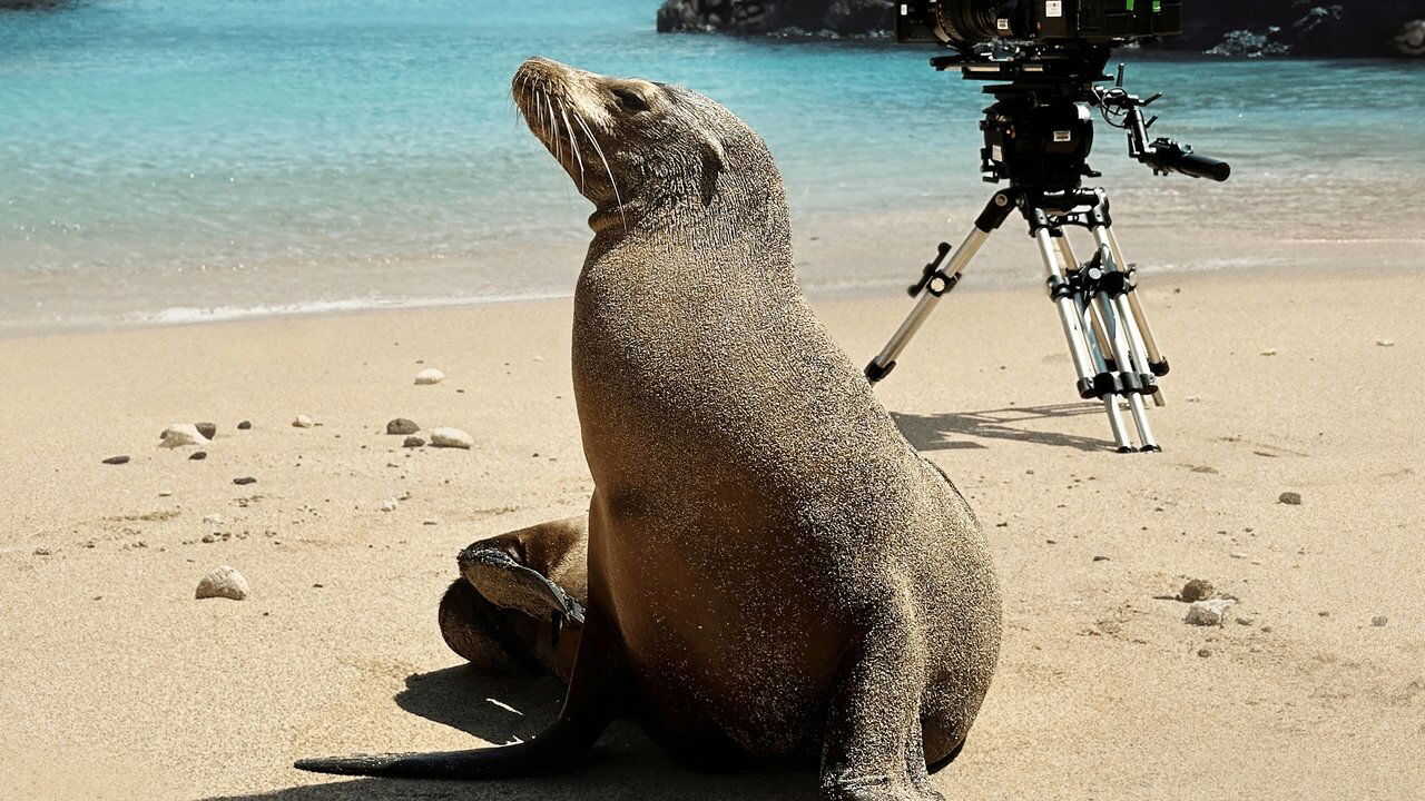 Guardians of the Galapagos 0