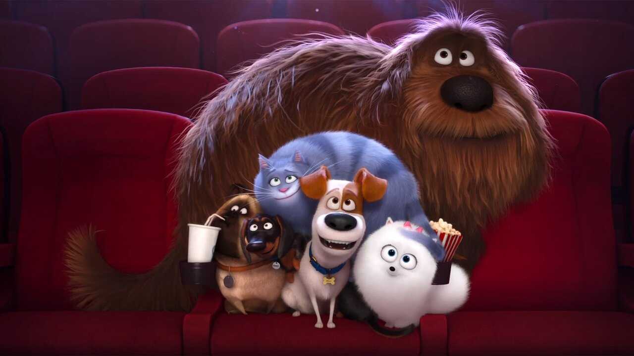 The Secret Life of Pets (2016) 0