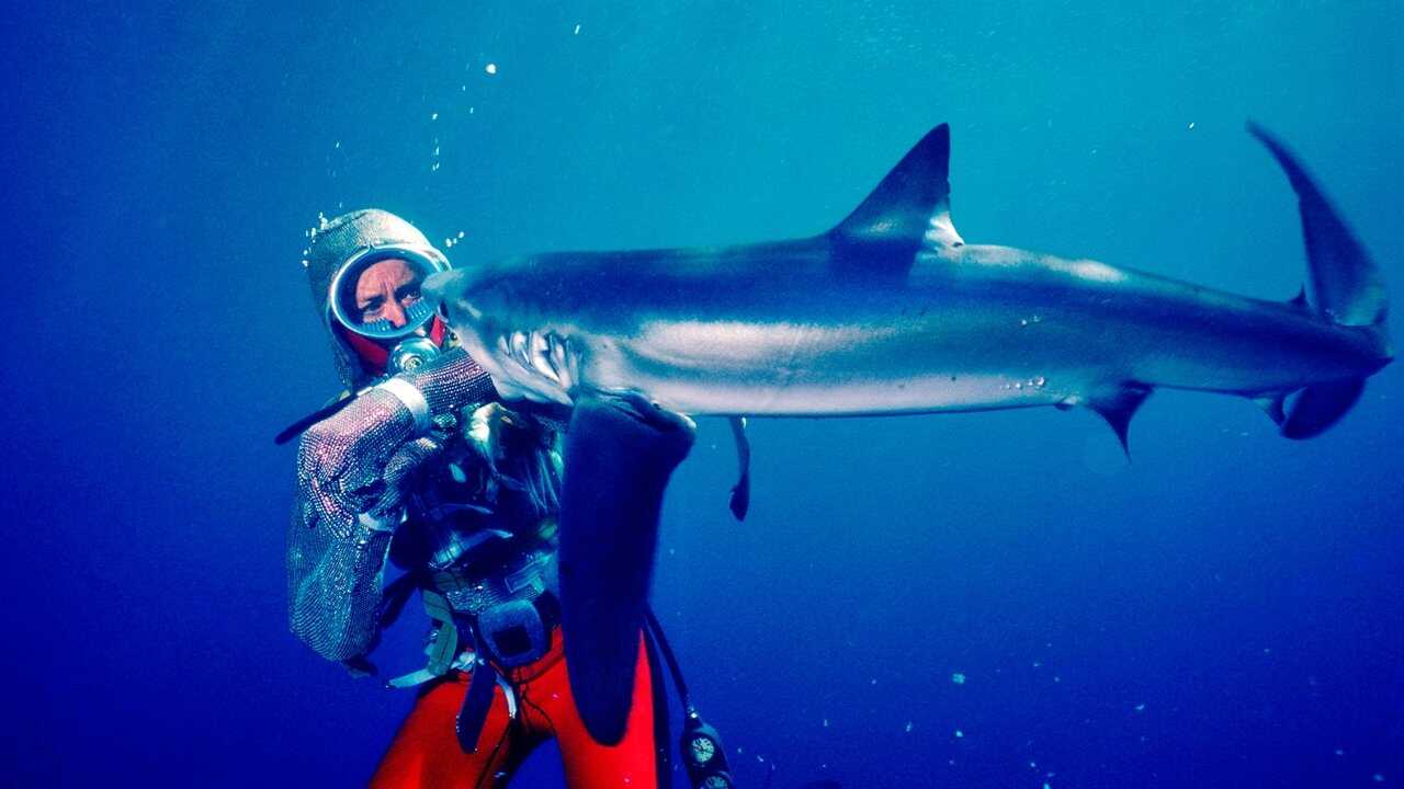 Face aux requins (2021) 0