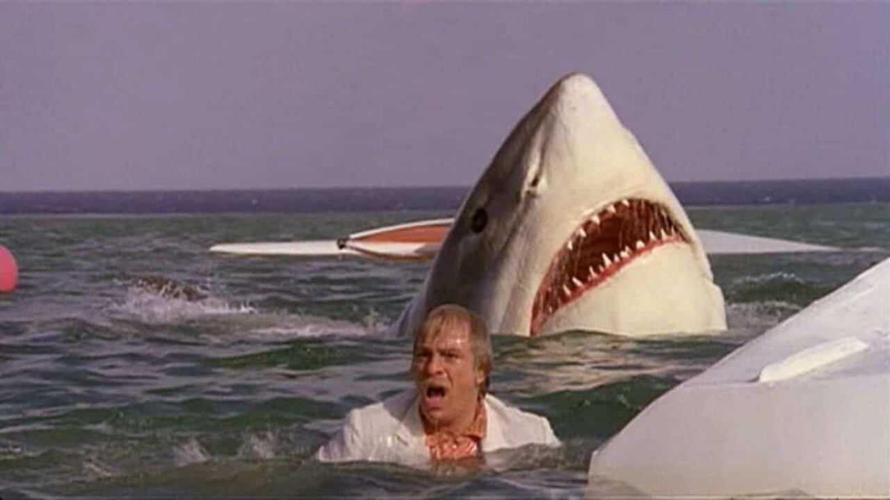 The Last Shark (1981) 0