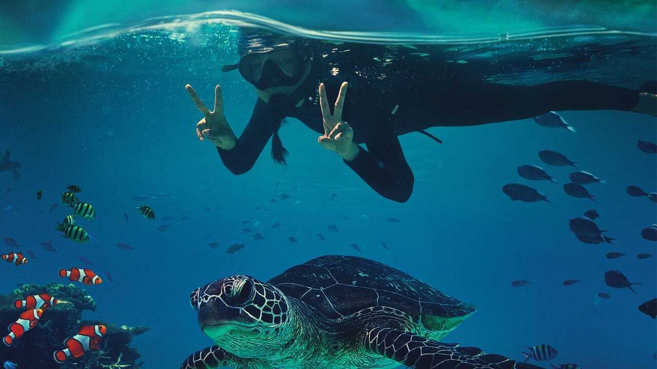 Beyond the Reef 0