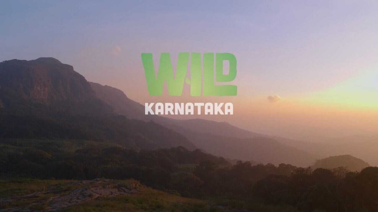 Wild Karnataka 0