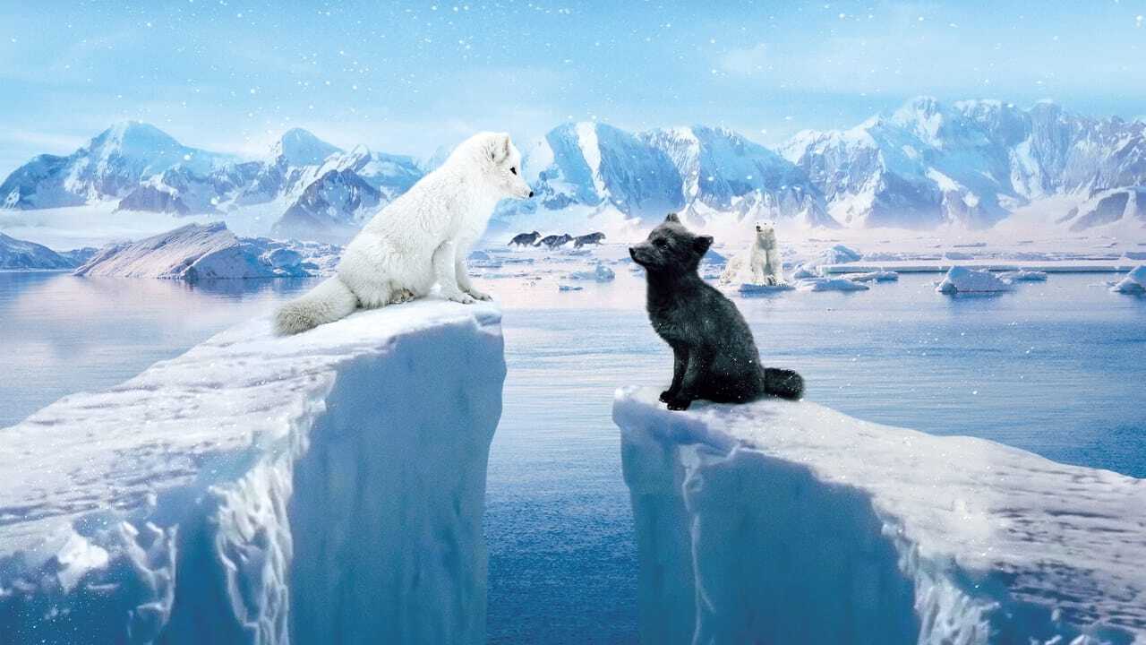 Kina & Yuk (2023) 0