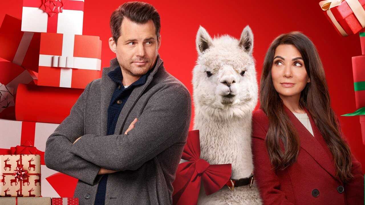 We Wish You a Married Christmas 0