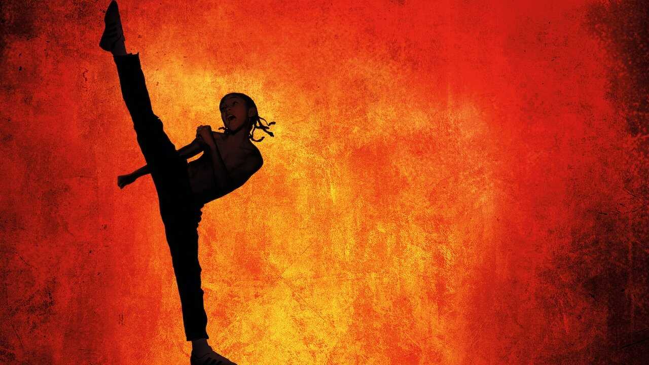 The Karate Kid 0