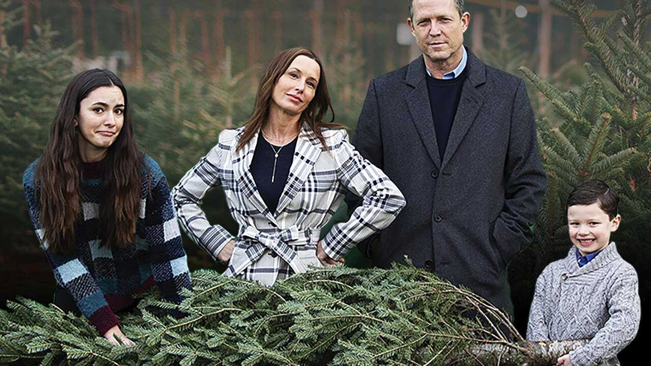 Christmas vs. The Walters 0