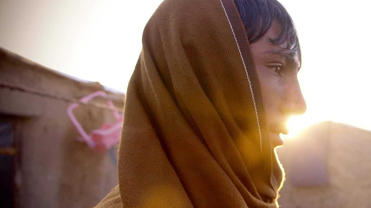 دری سندری د بینظیر لپاره 0