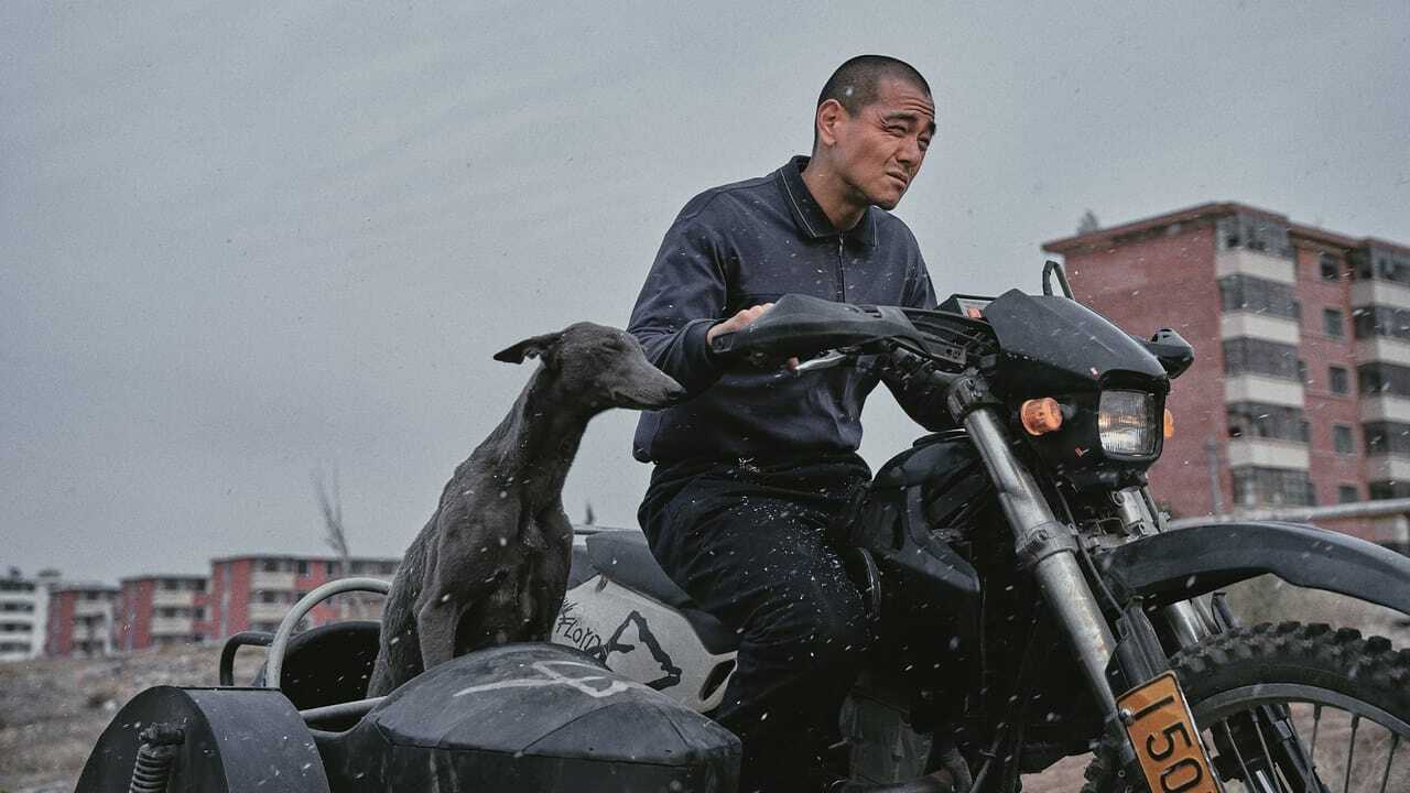 狗阵 (2024) 0