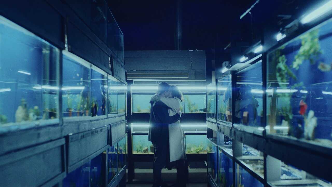 Little Fish 0