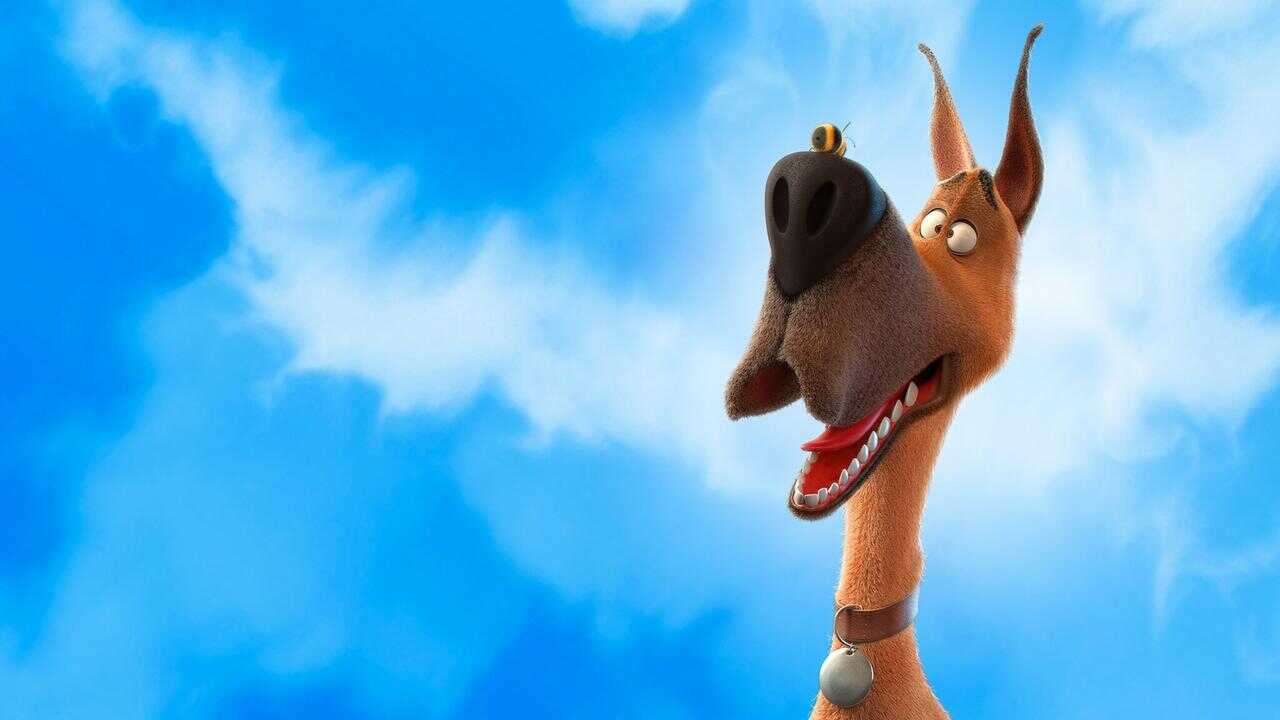 Marmaduke 0