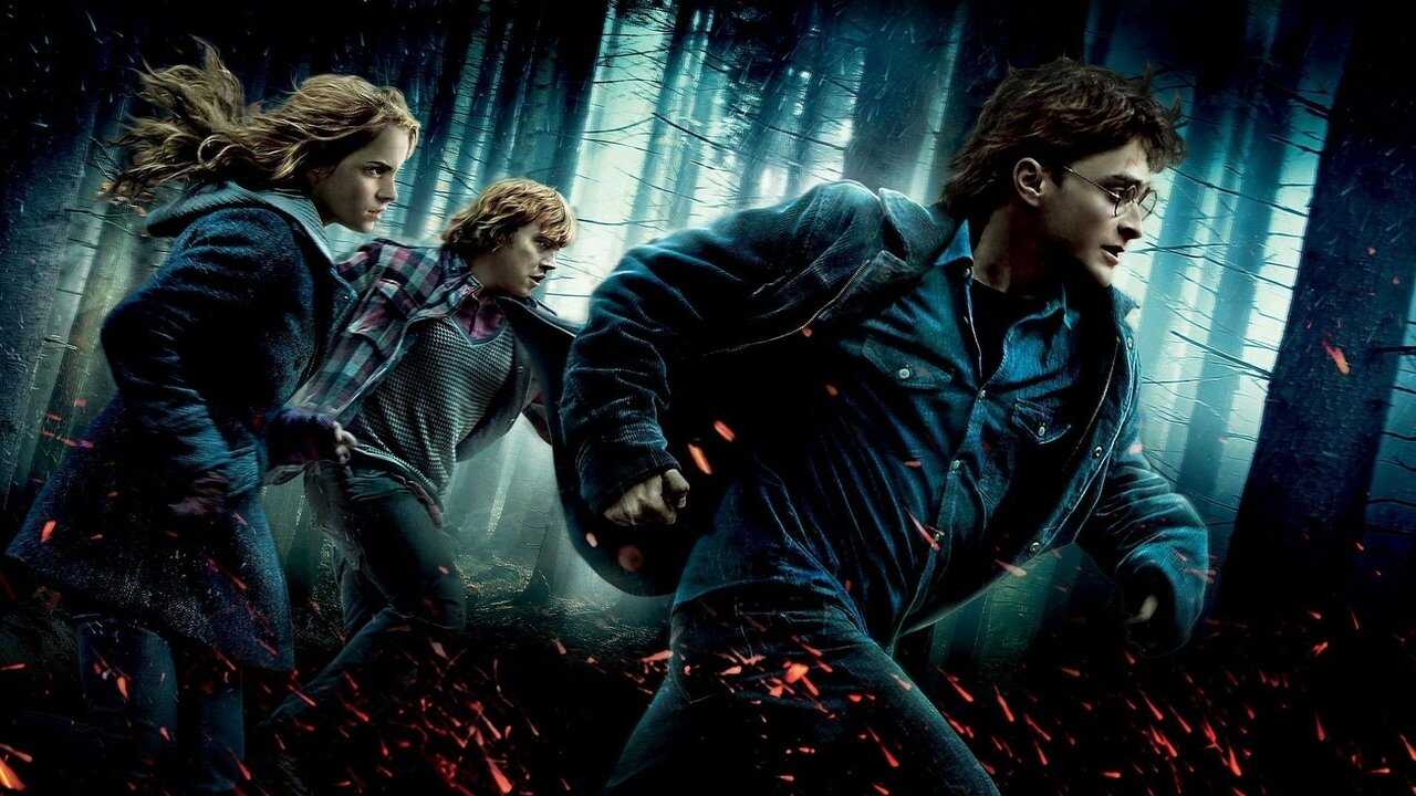 Harry Potter and the Deathly Hallows: Part 1 (2010) 0