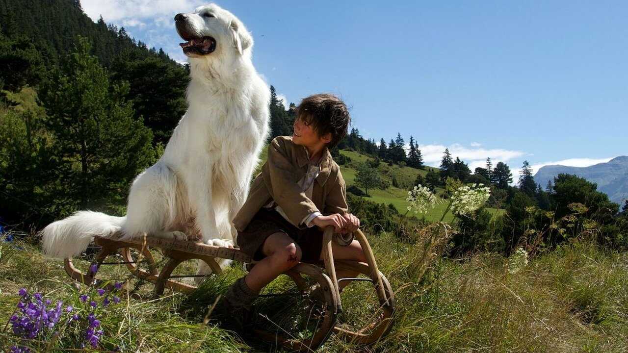 Belle et Sébastien, l'aventure continue 0