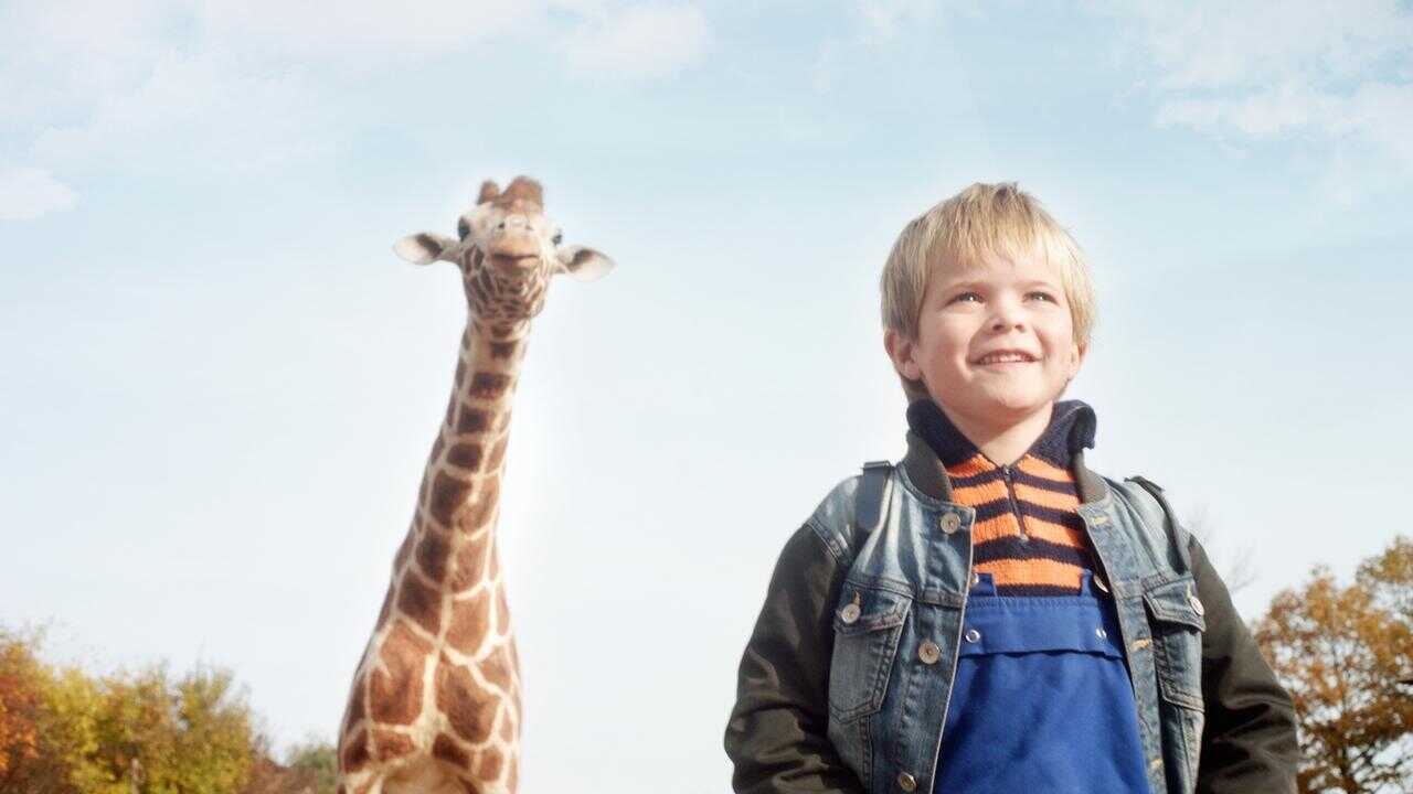 My Giraffe 0