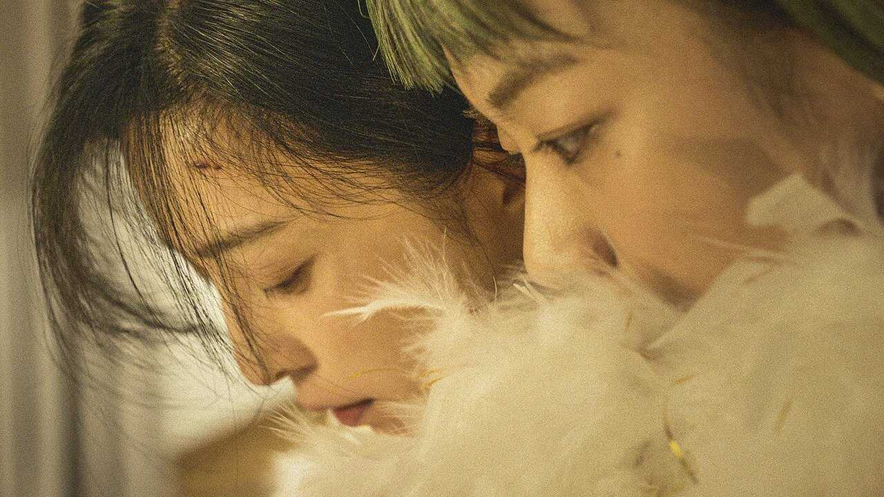 Green Night (2023) 0