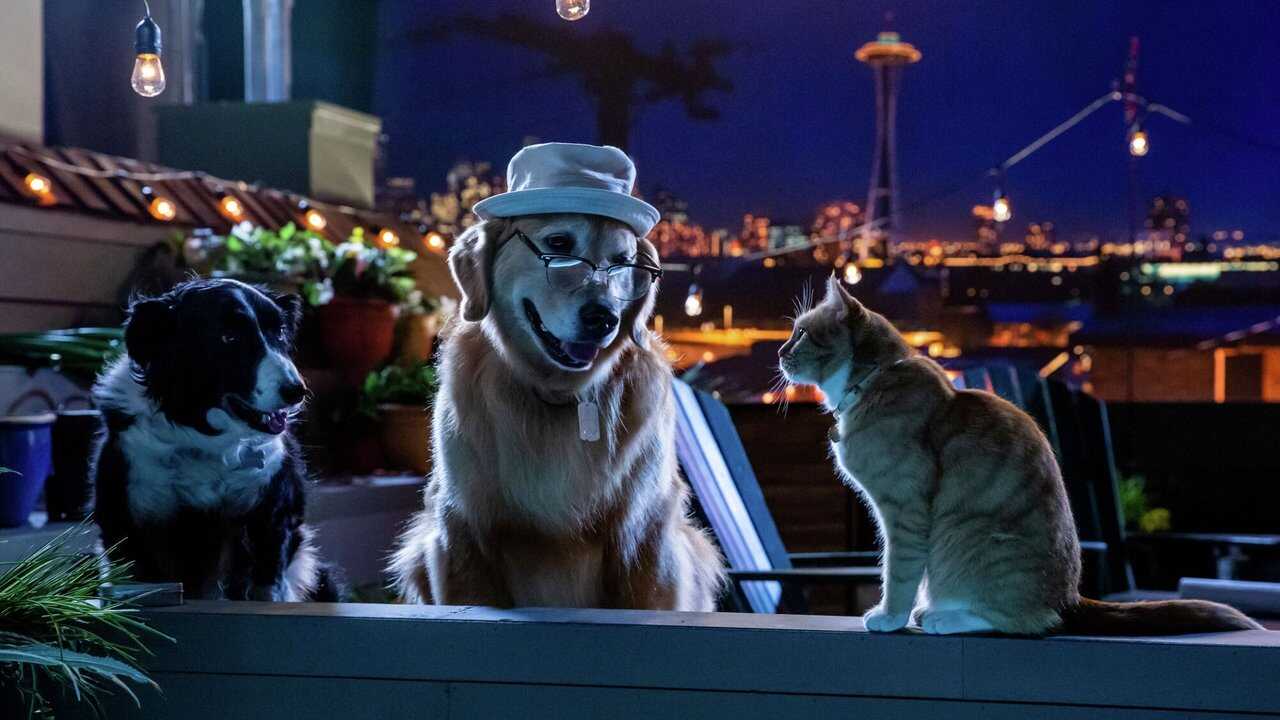 Cats & Dogs 3: Paws Unite 0