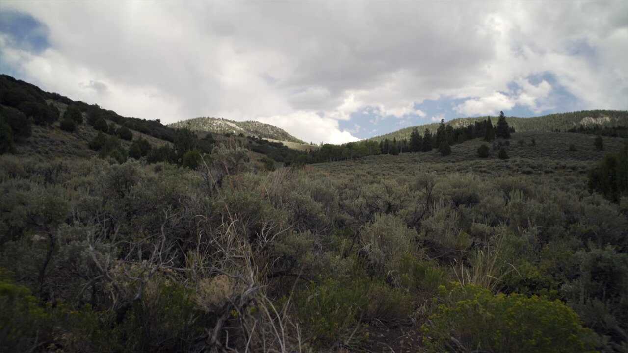 Horror in the High Desert 0