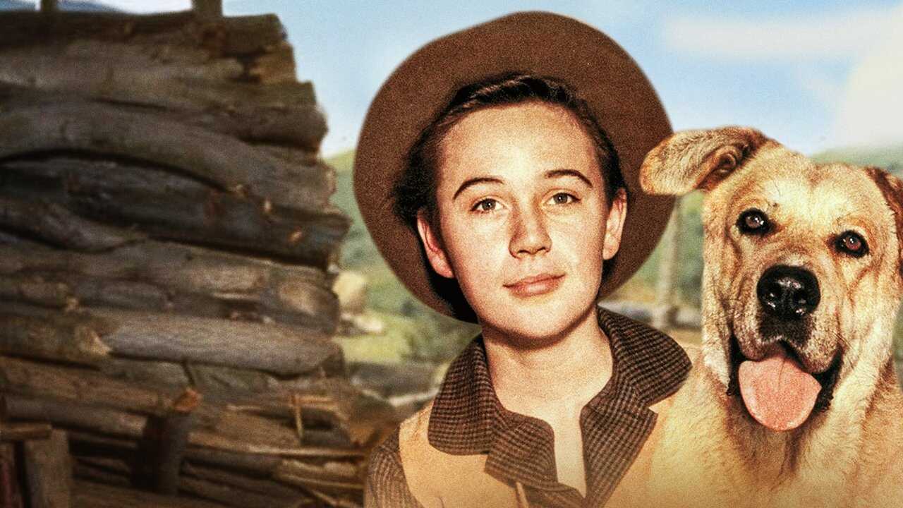 Fidèle vagabond (1957) 0