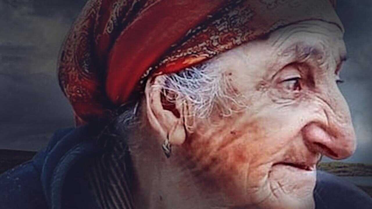 სოვდაგარი 0