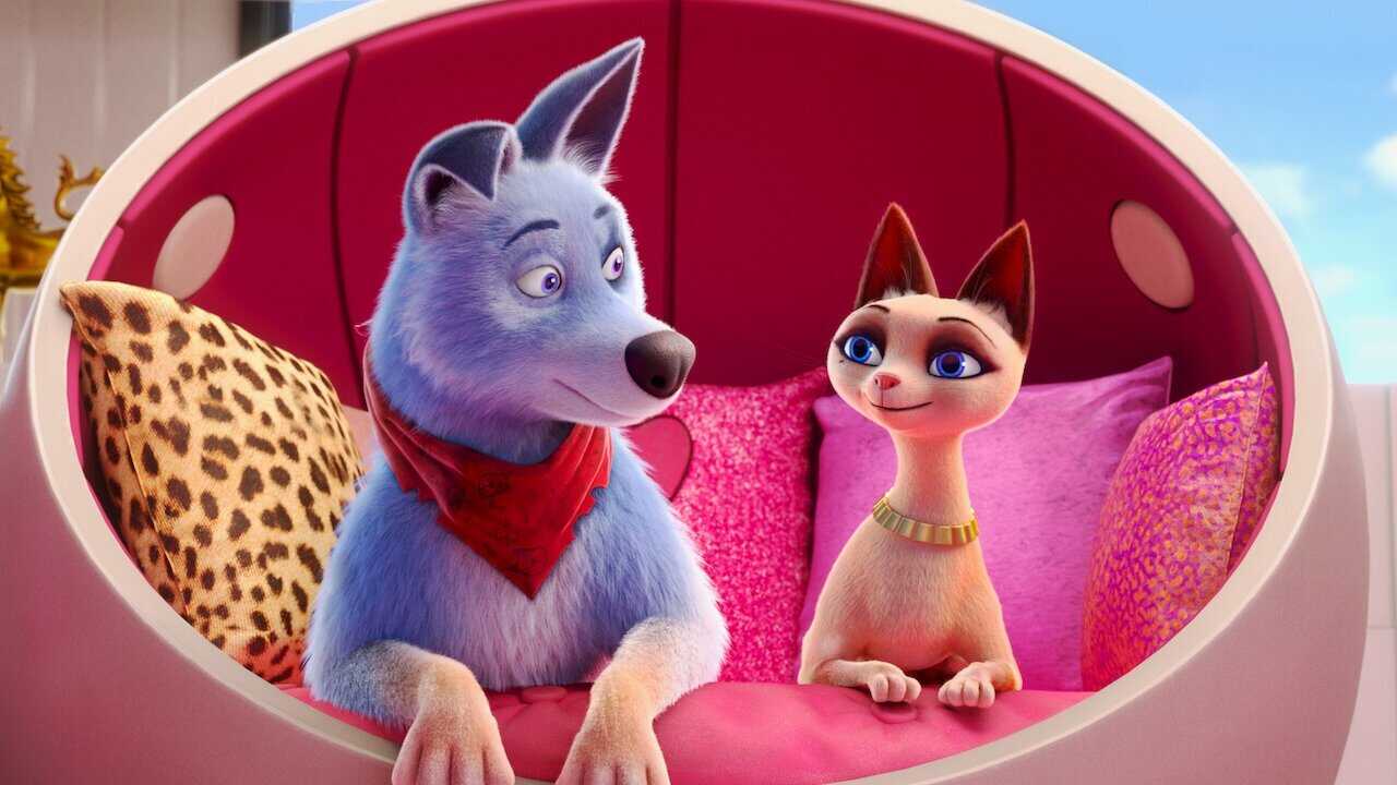 Pets United 0