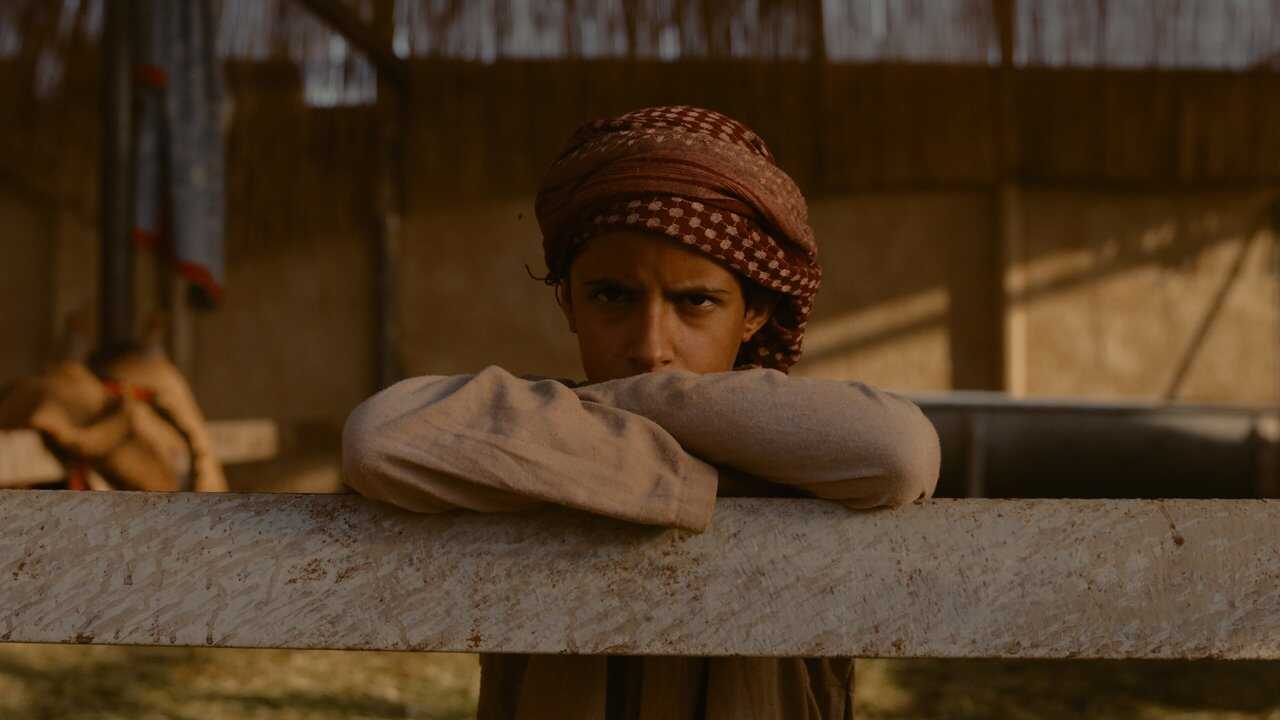 Hajjan (2024) 0