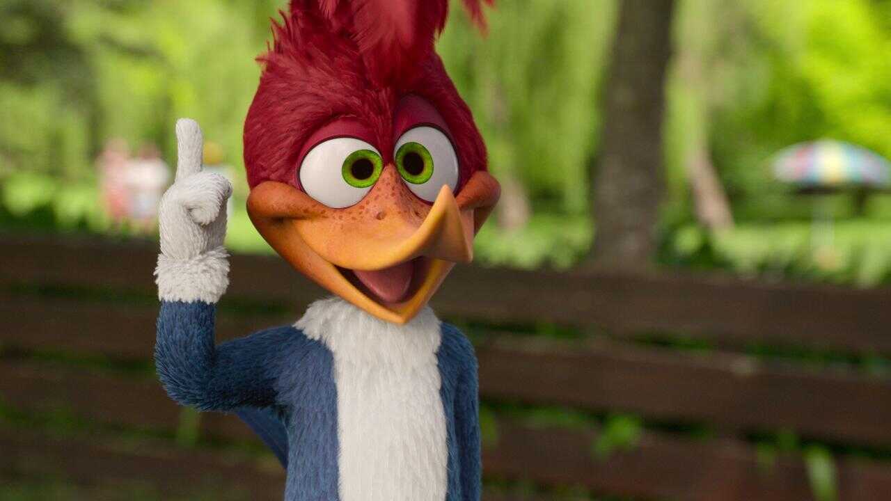 Woody Woodpecker Goes to Camp 0