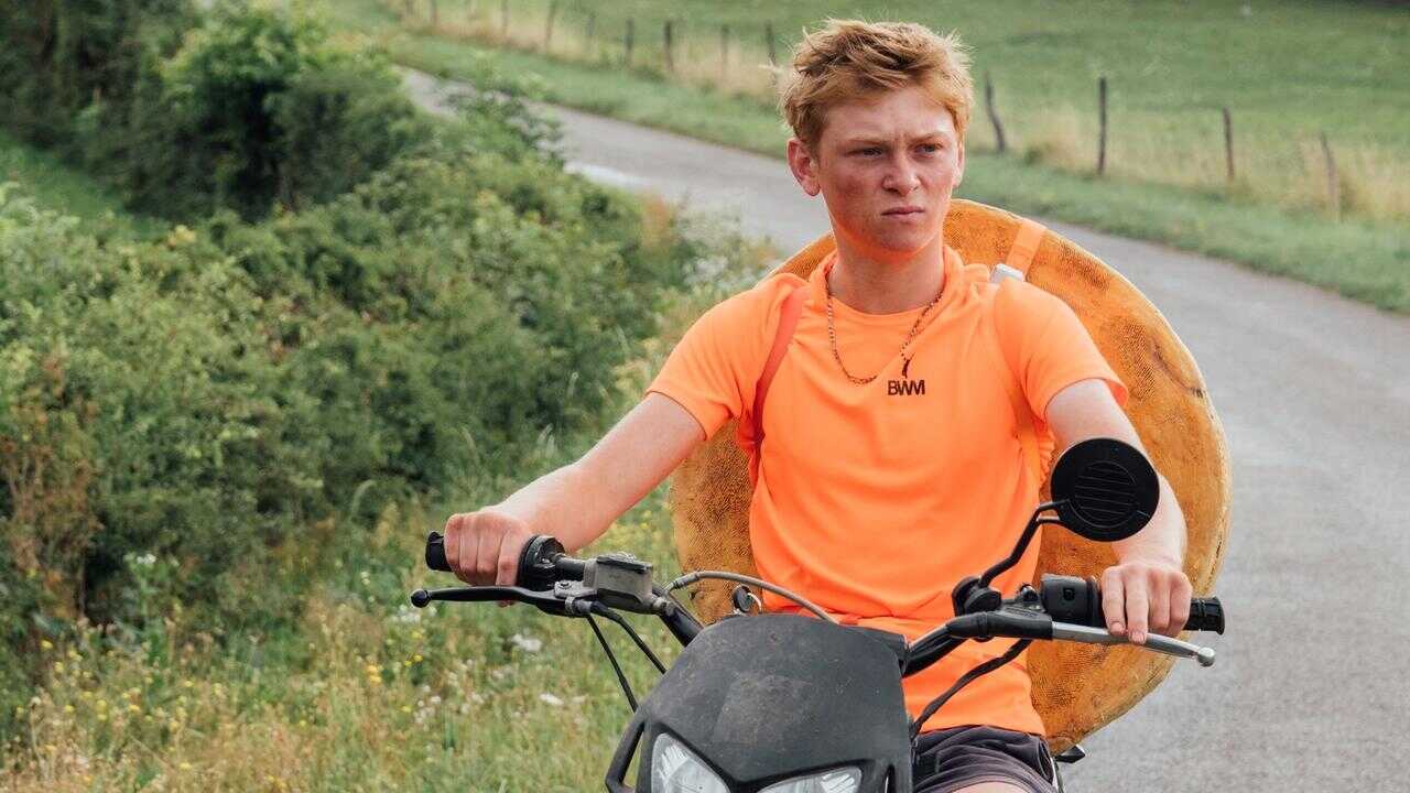 Holy Cow (2024) 0