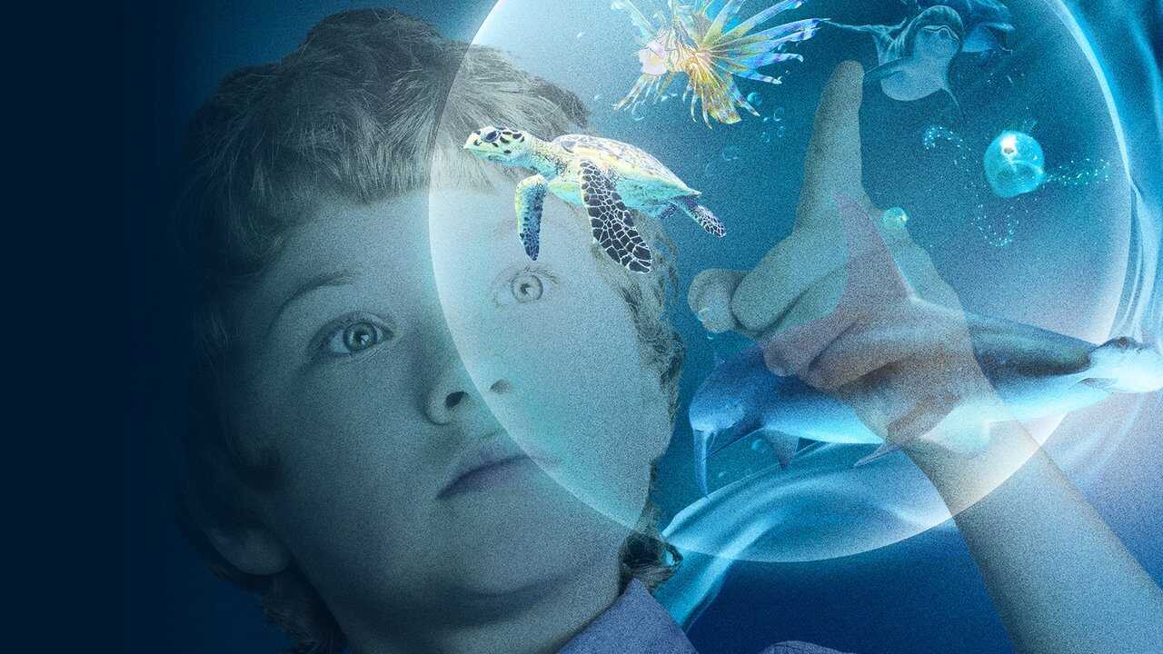 Wonders of the Sea 3D (2017) 0