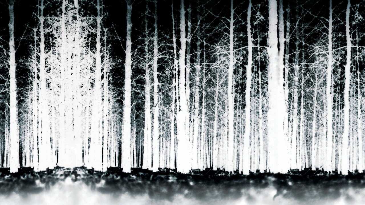 The Blair Witch Project 0