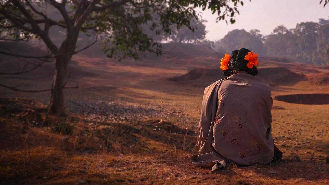 أريد قتل النمر (2023) 0