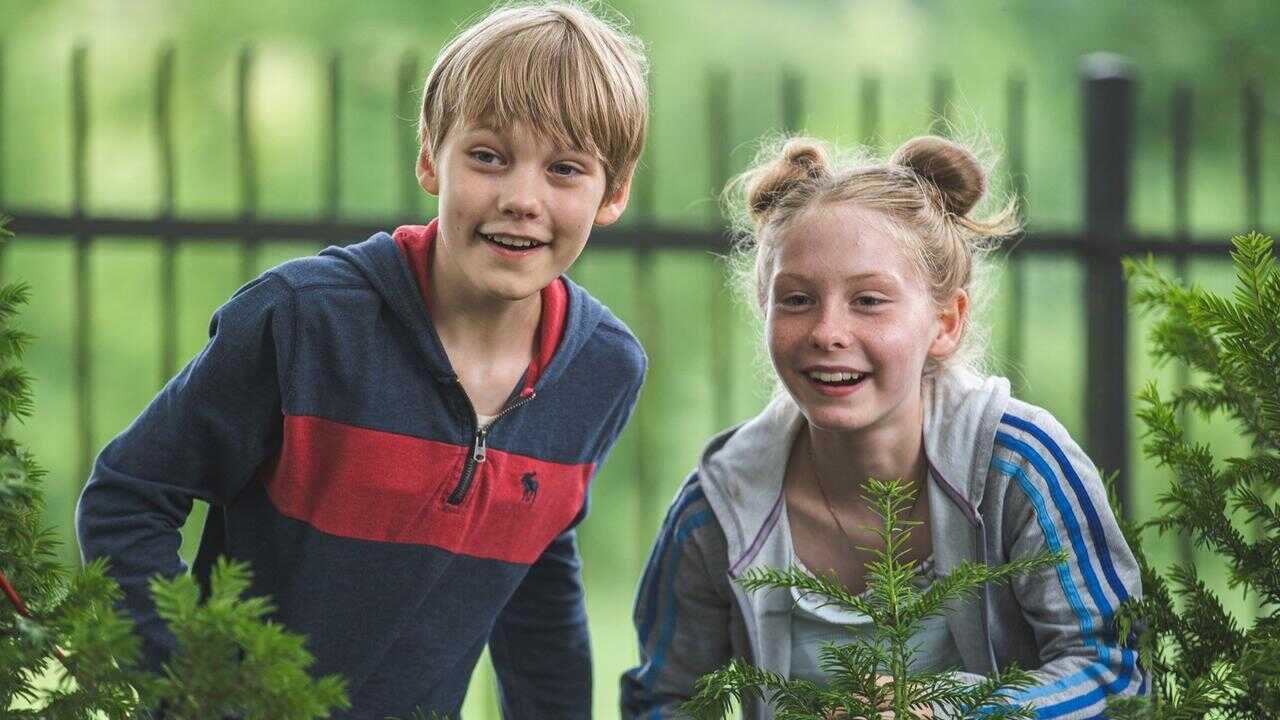 Max und die wilde 7 - Die Geister-Oma (2024) 0