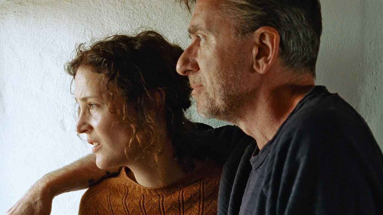 Bergman Island 0