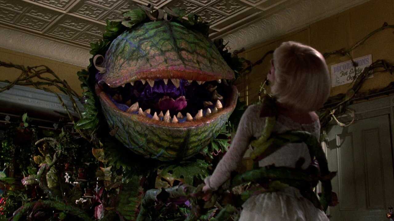 Little Shop of Horrors 0