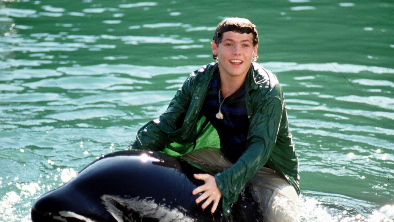 Free Willy 3: The Rescue 0