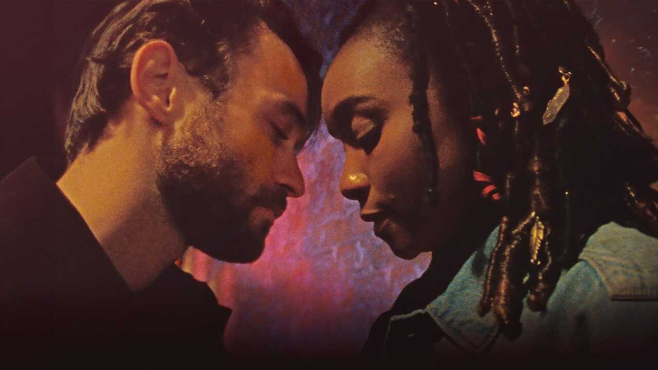 Dandelion (2024) 0