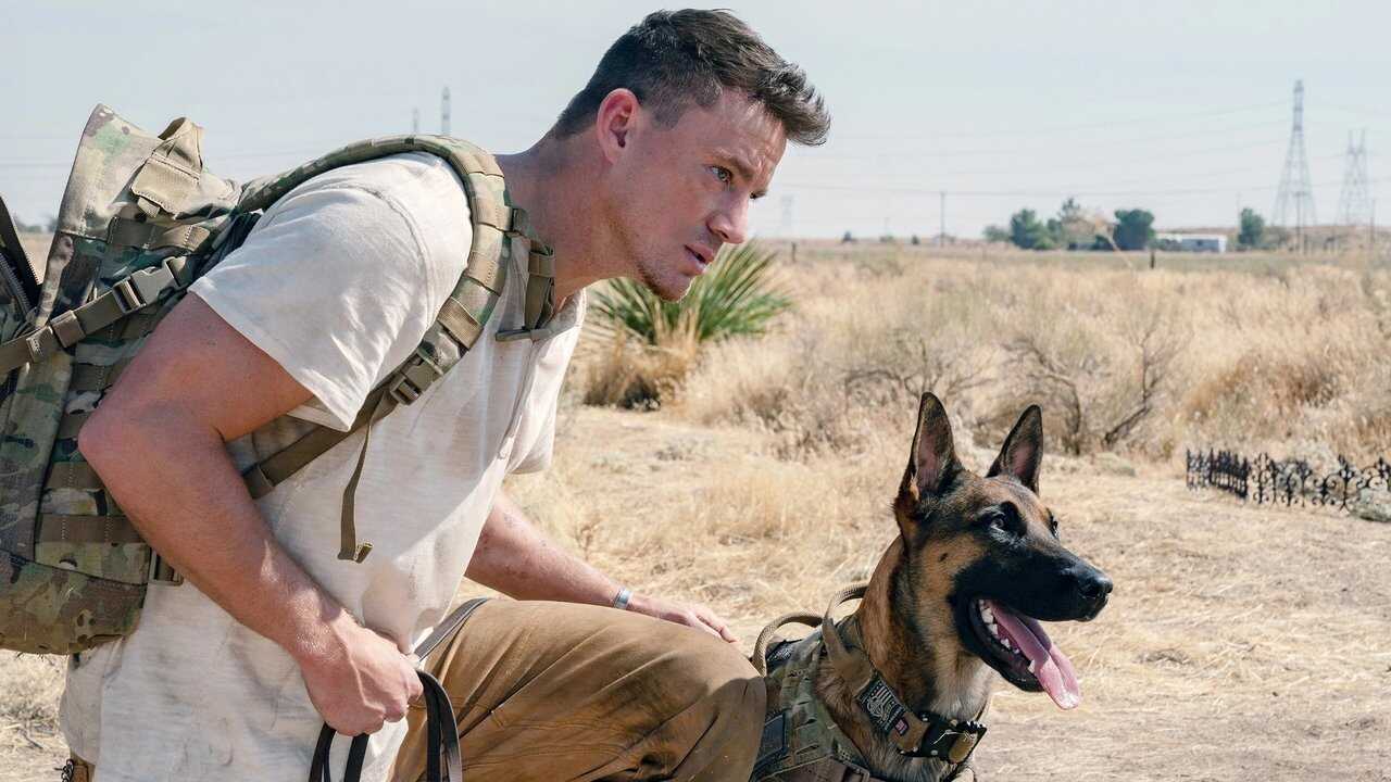 Dog 0