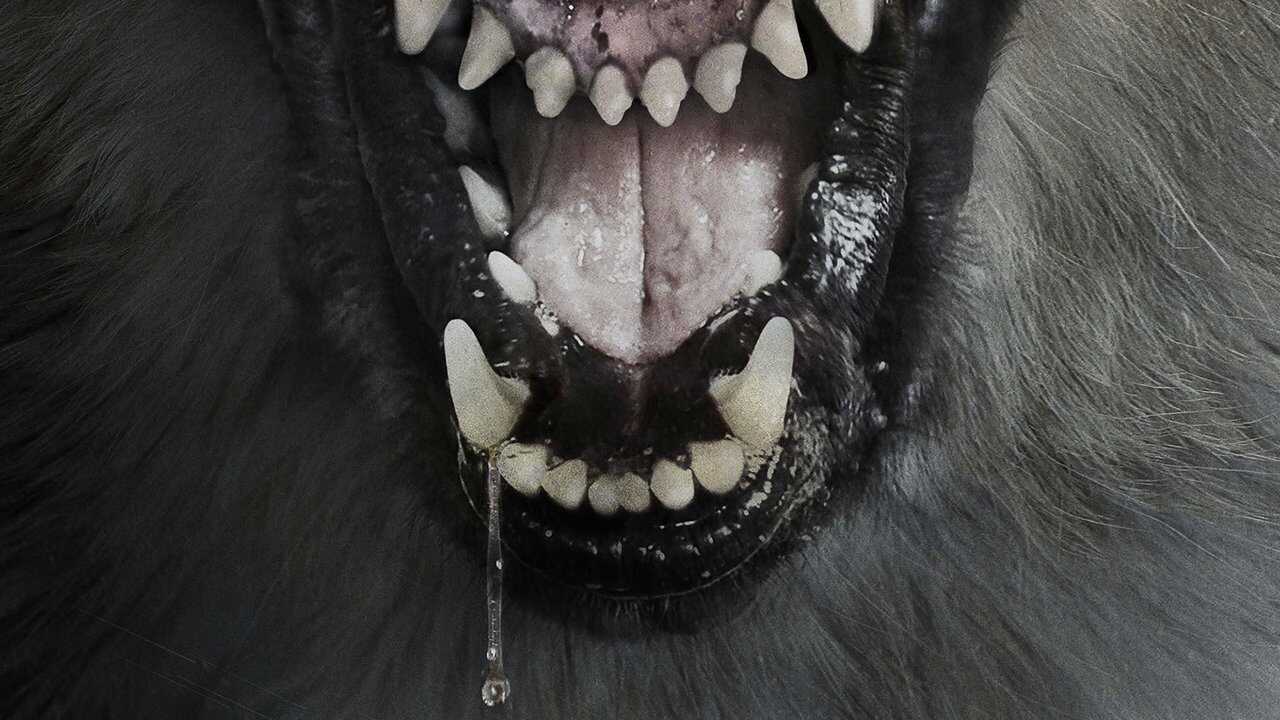The Pack (2015) 0
