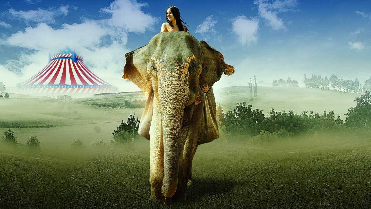 Saving Flora (2019) 0