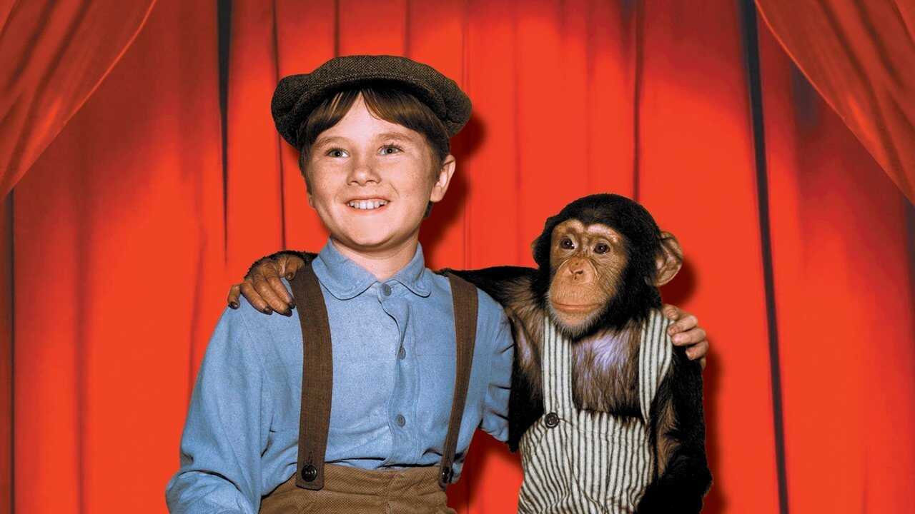 Mein Freund Stubbs (1960) 0
