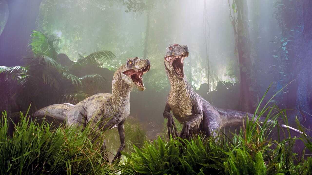 Jurassic Park III 0