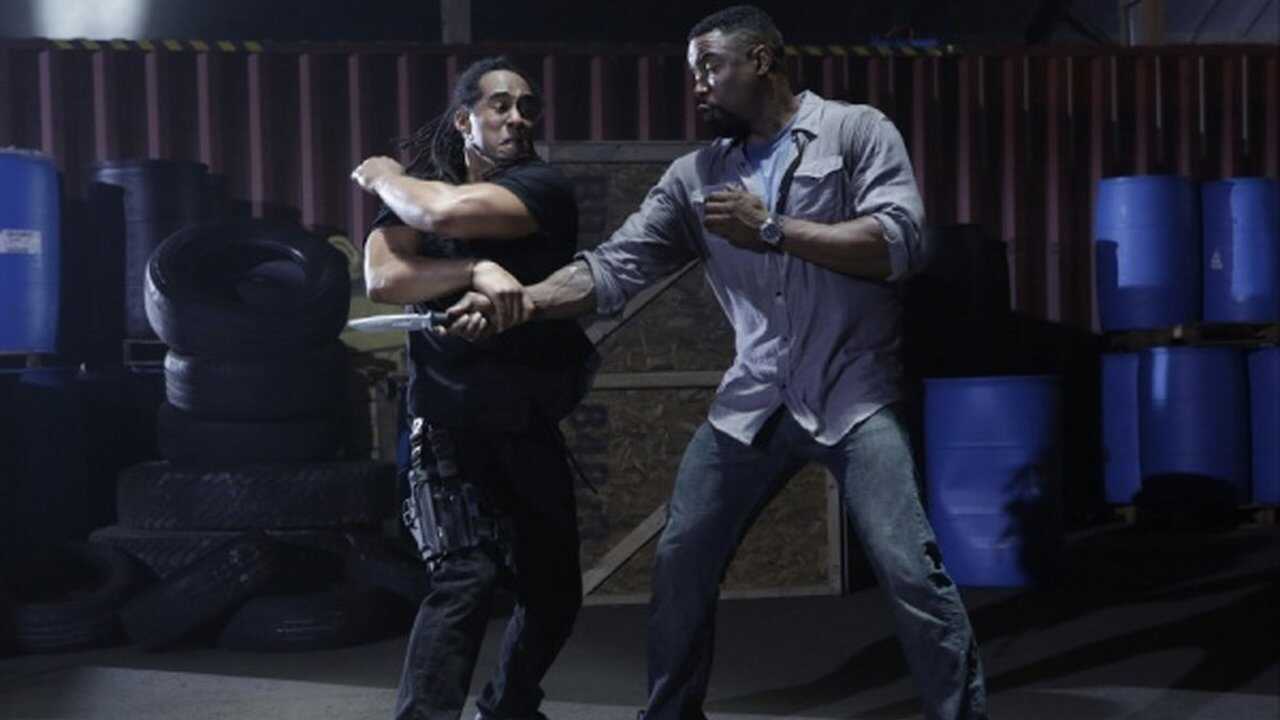 Falcon Rising 0