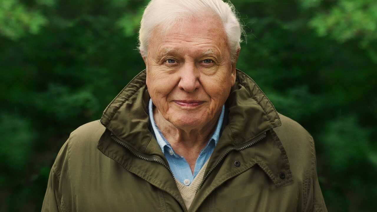 David Attenborough: A Life on Our Planet (2020) 0