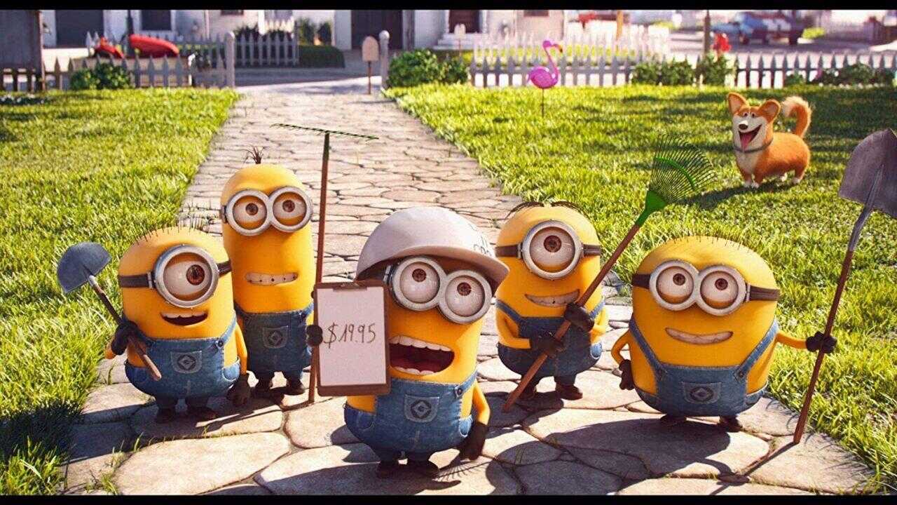 The Secret Life of Pets: 3 Mini-Movies Collection (2016) 0