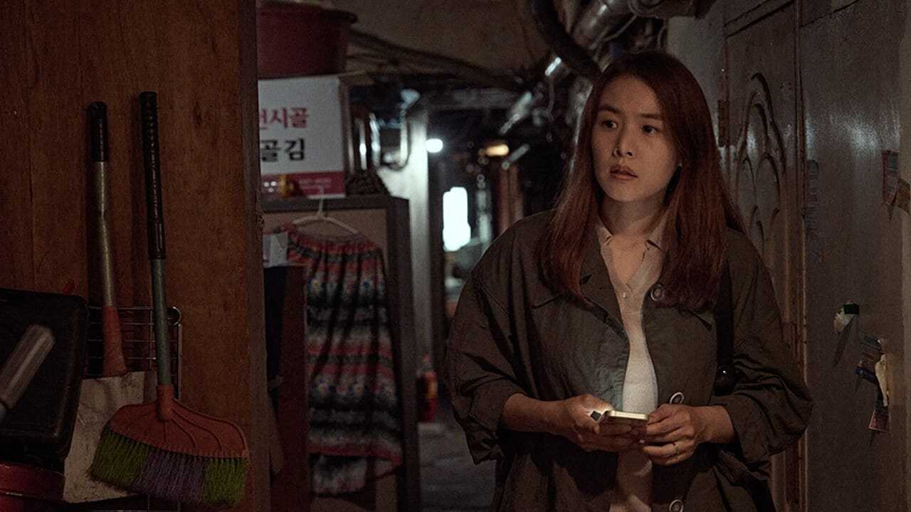 Spring Garden (2024) 0