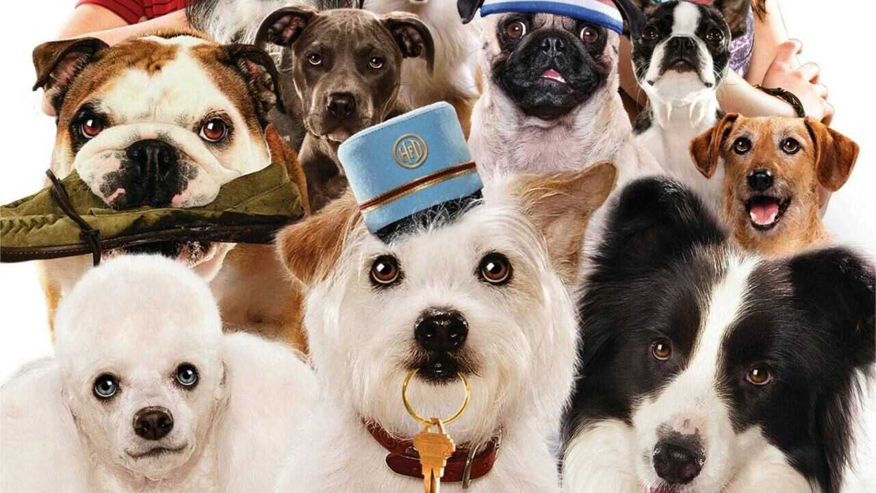 Hotel for Dogs 0