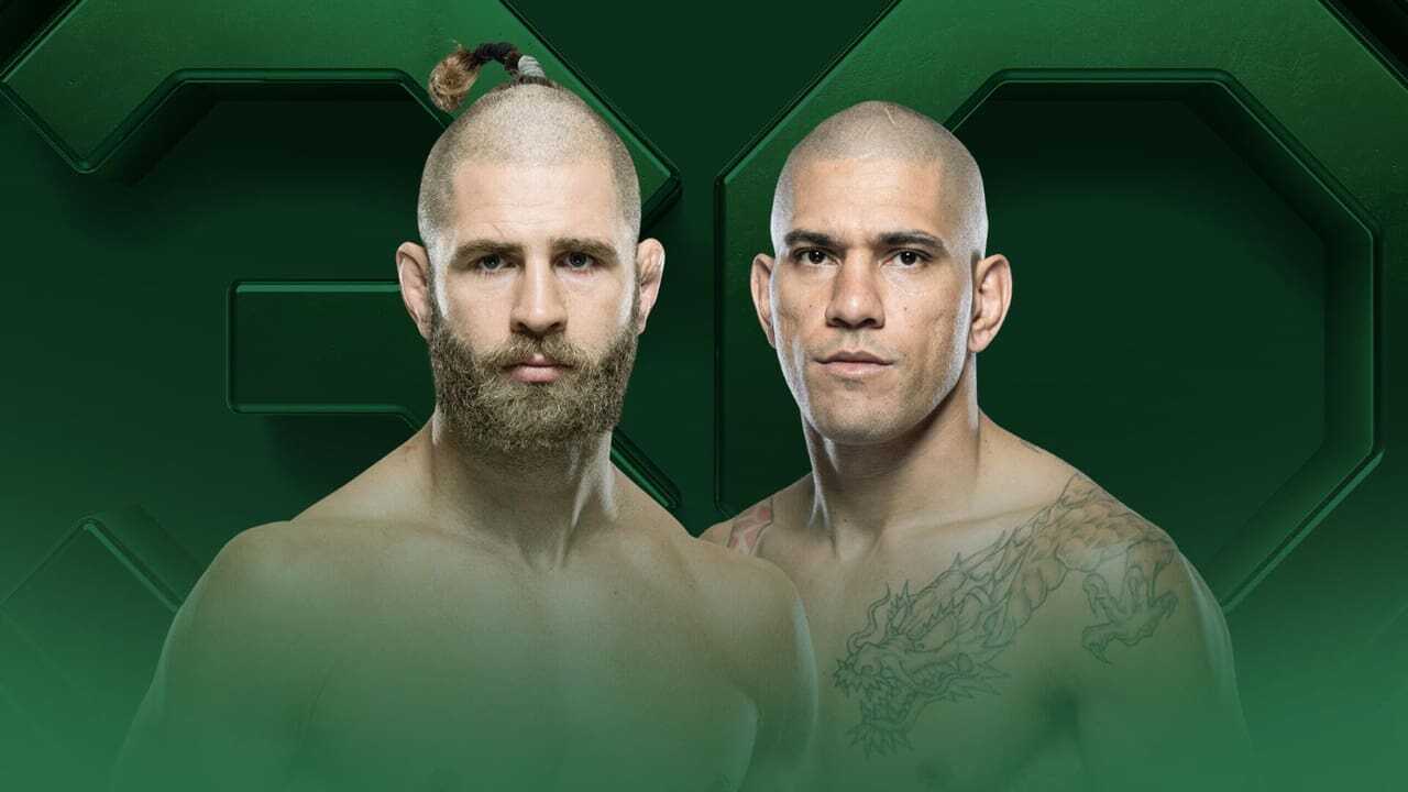 UFC 295: Prochazka vs. Pereira (2023) 0