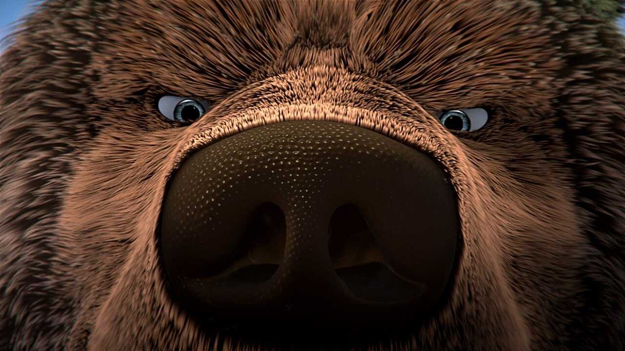 The Great Bear 0