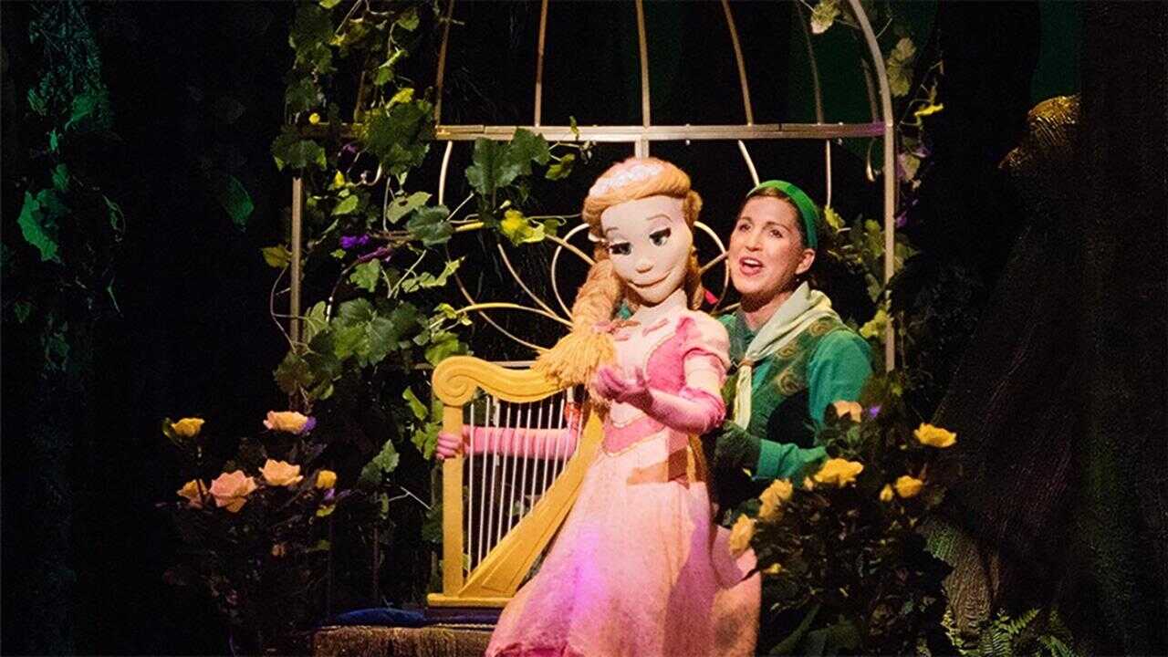Sprookjesboom de Musical - Een Wonderlijk Muziekfeest 0