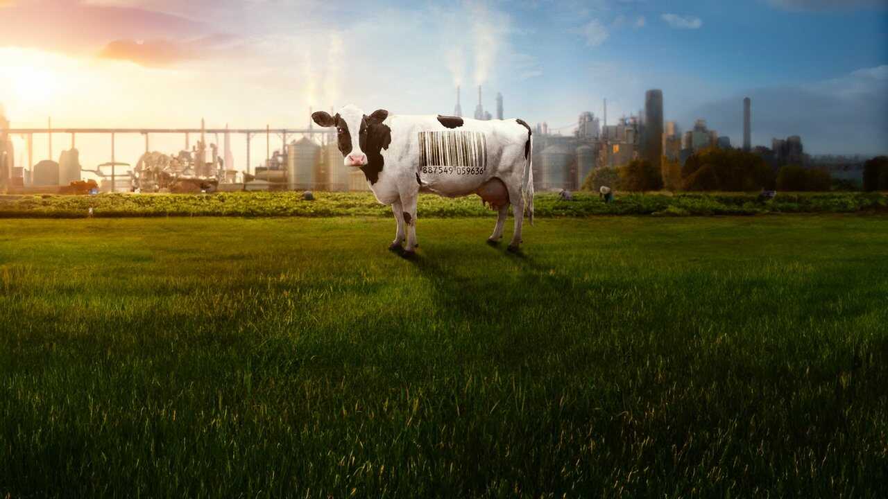 Food, Inc. 2 0