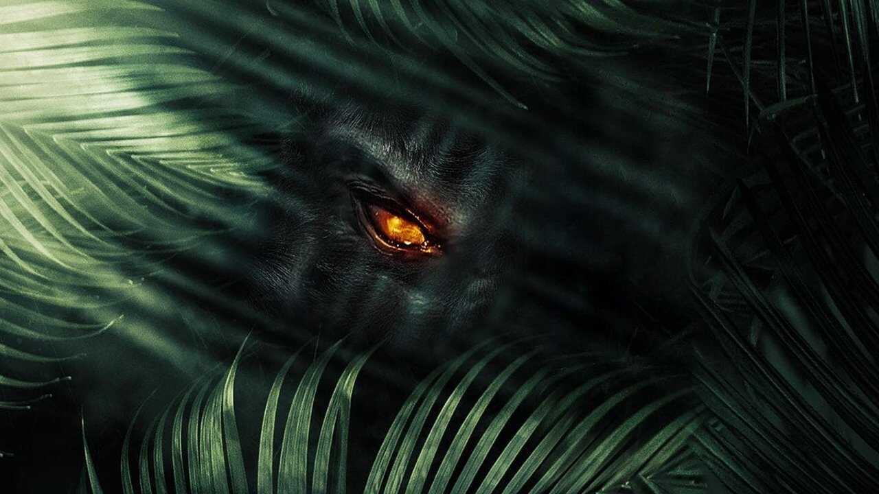 The Jungle 0